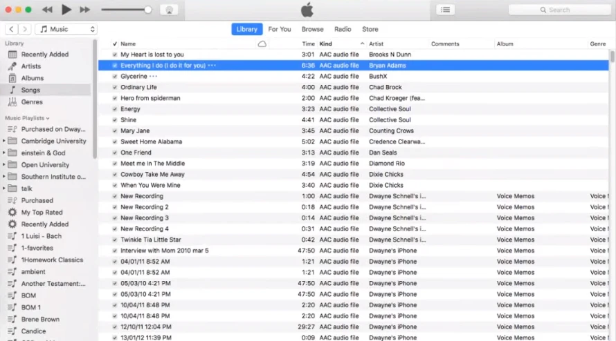 собственный плеер iTunes для macOS