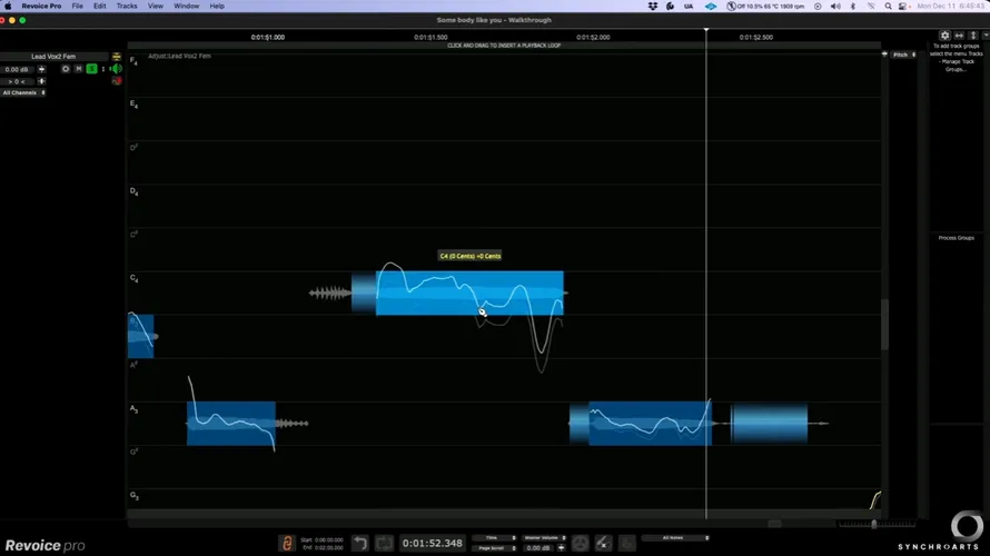 Synchro Arts Revoice Pro 5