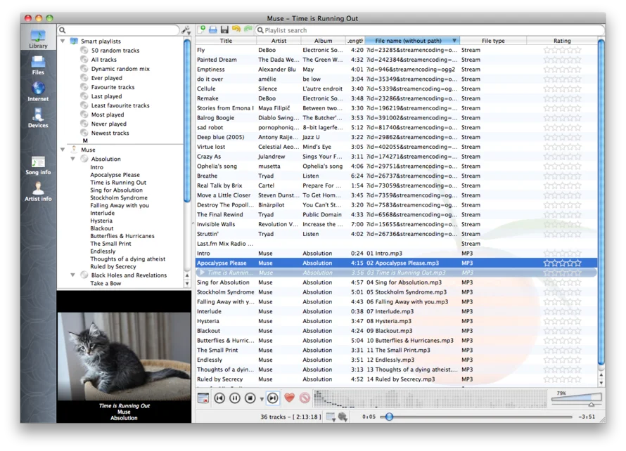 Clementine Music Player